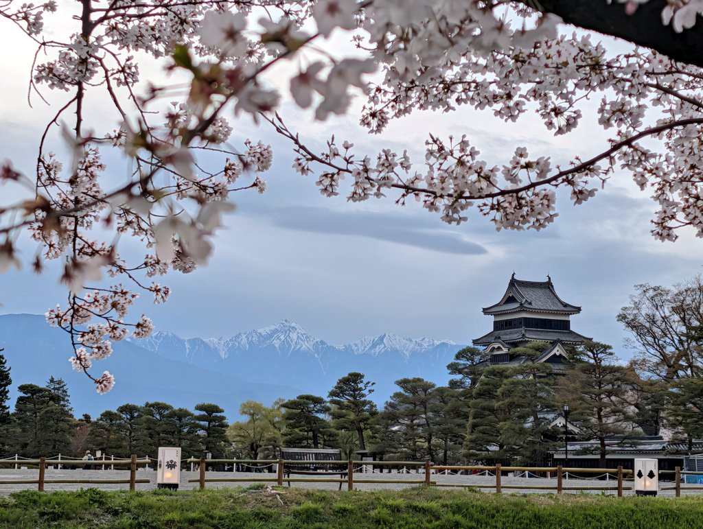 leica_elmar tweet media