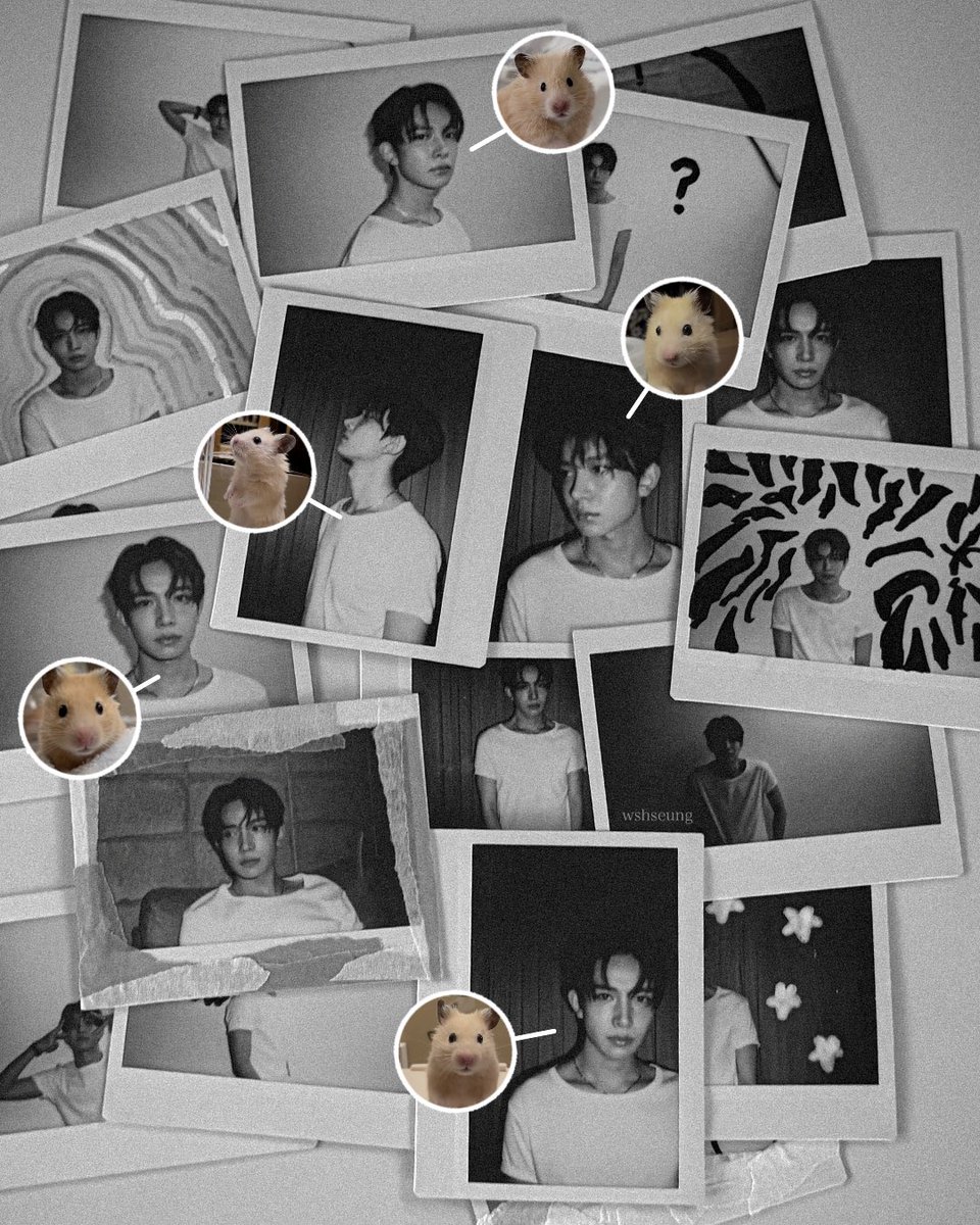 — wasa tweet media