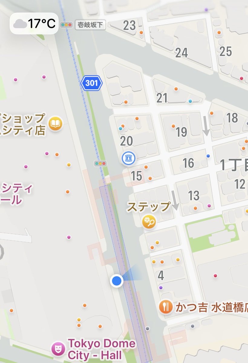 てげてげ✨🐶🦒 tweet media