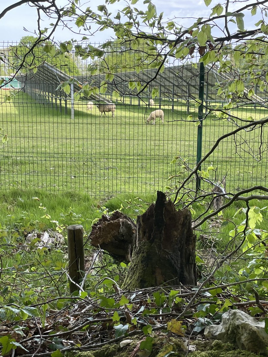 Mark Evans tweet media