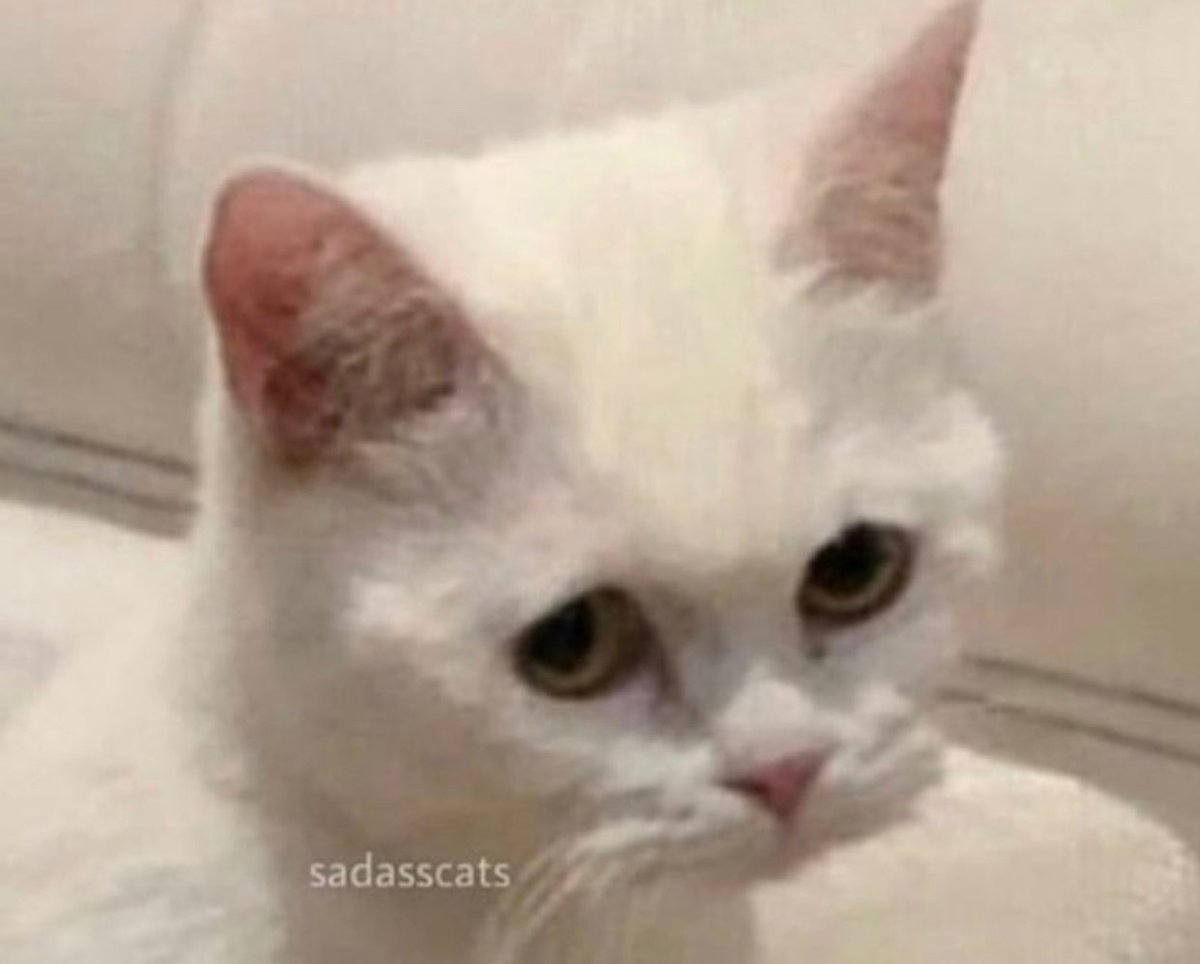 skyler | 🥦💥 (灬º‿º灬)♡ tweet media