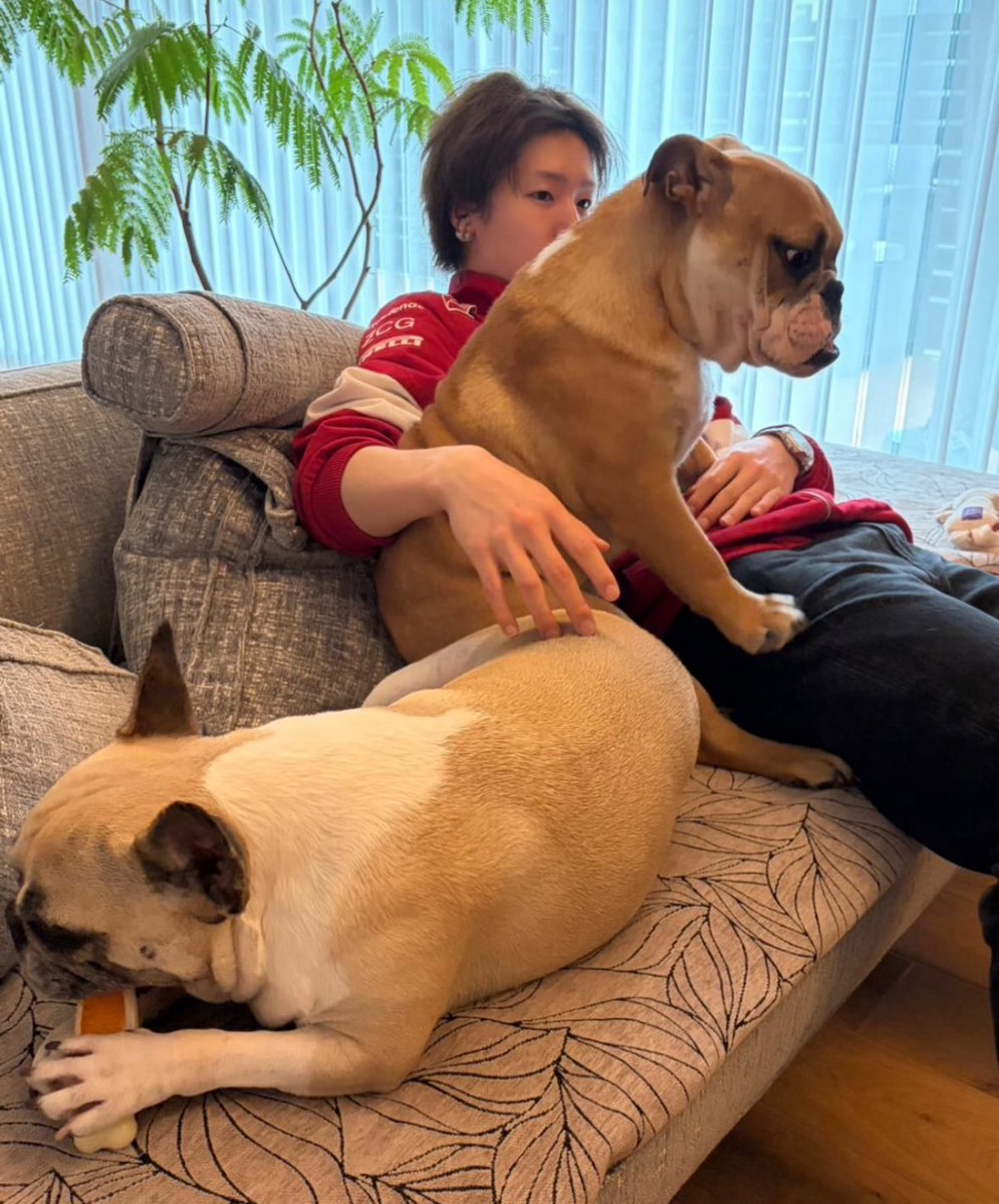 킁. 킁 tweet media