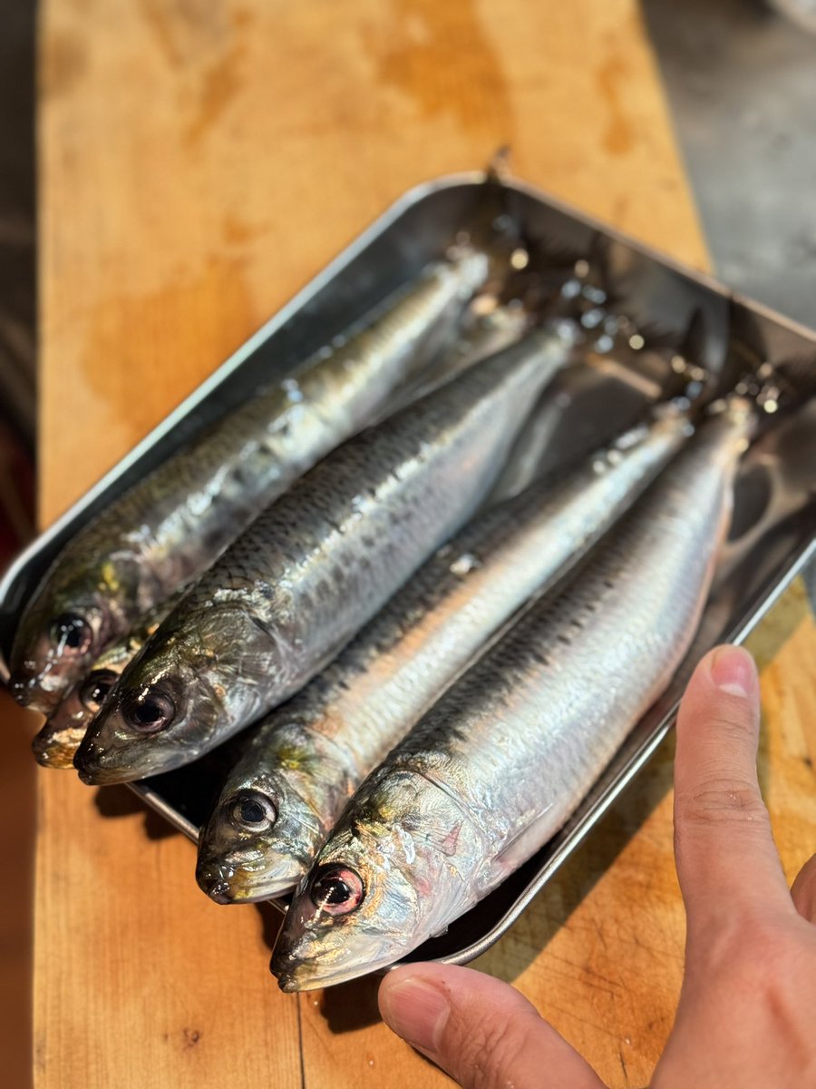 FUNA⚡︎ tweet media