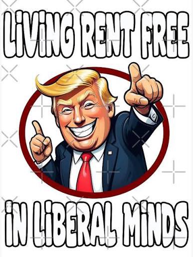 Mike Lang Photography tweet media