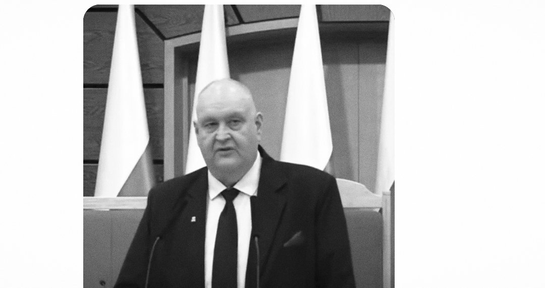 Lucek™ tweet media