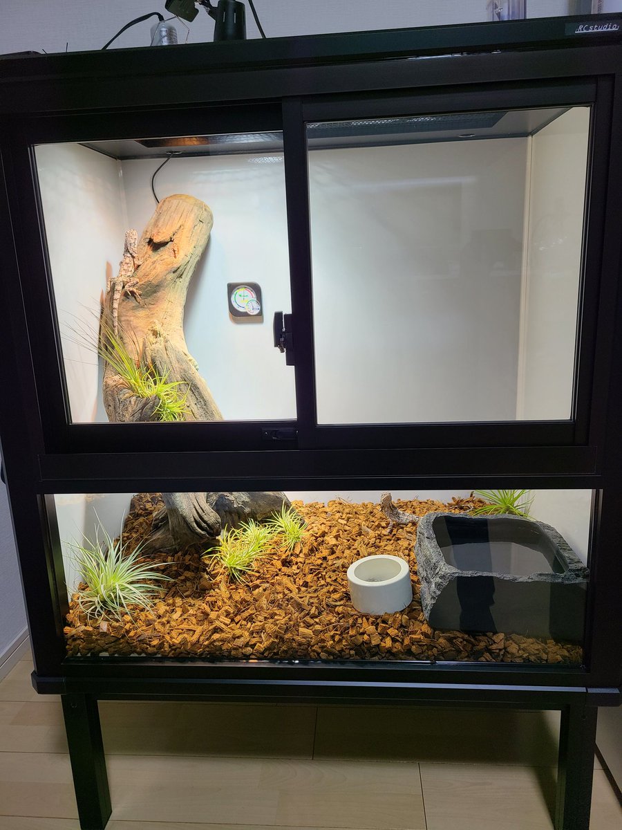 Rc studio ｱｰﾙｼｰｽﾀｼﾞｵ 爬虫類ｹｰｼﾞﾒｰｶｰ tweet media