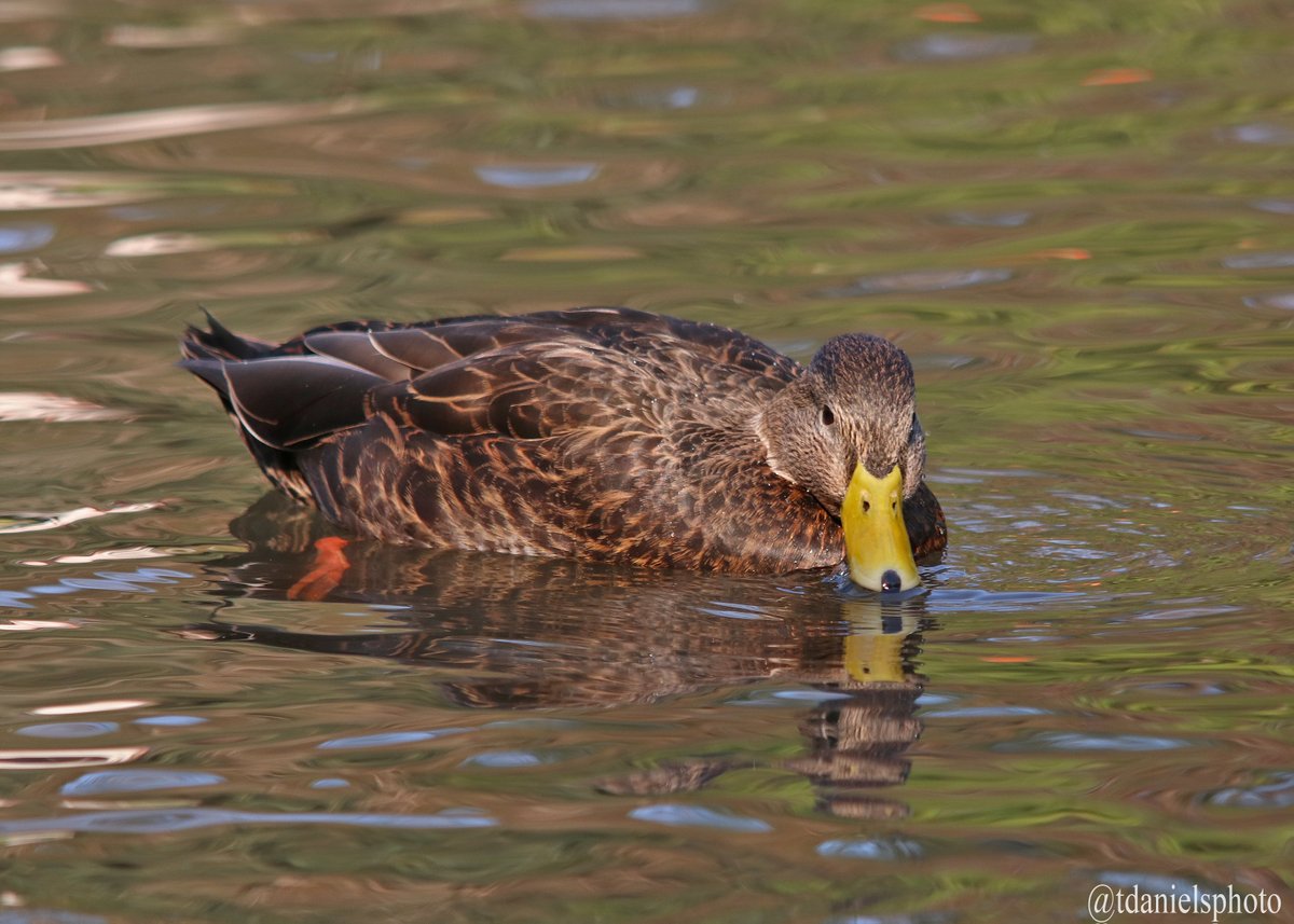 Terry Hlywka tweet media