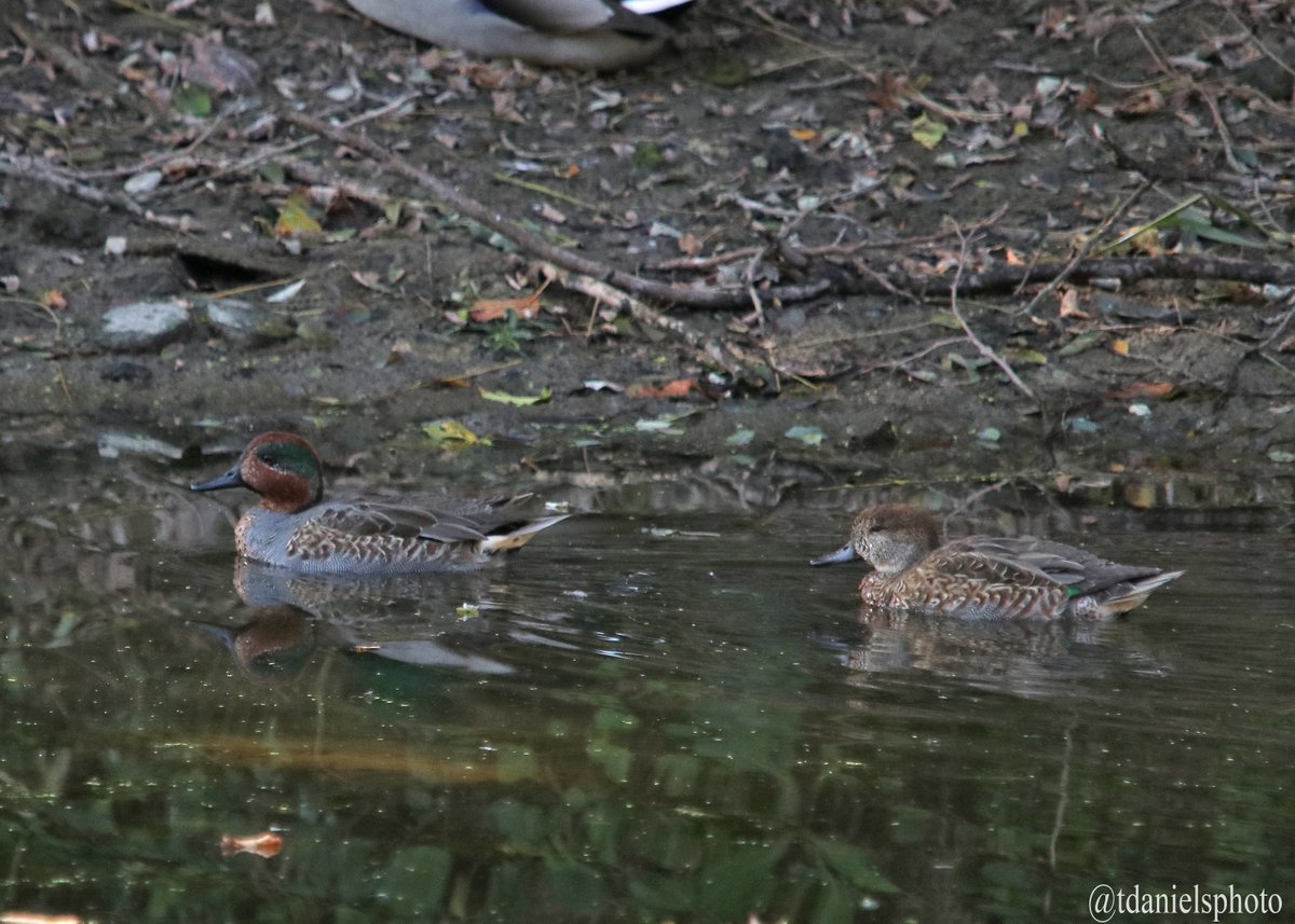 Terry Hlywka tweet media