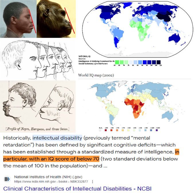 David Q+++ tweet media