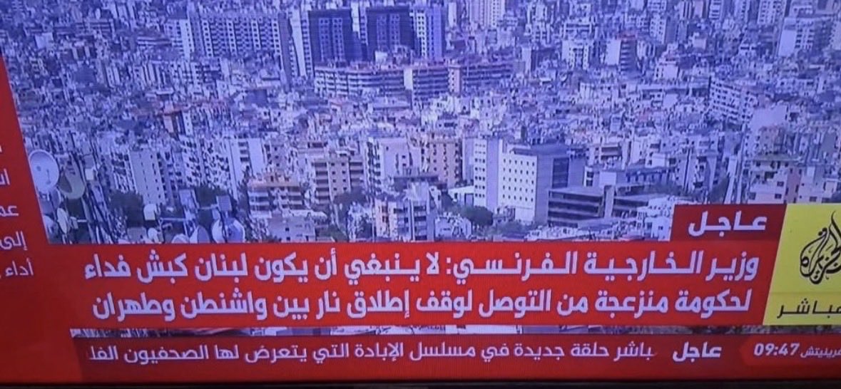 Lolo Saleh tweet media