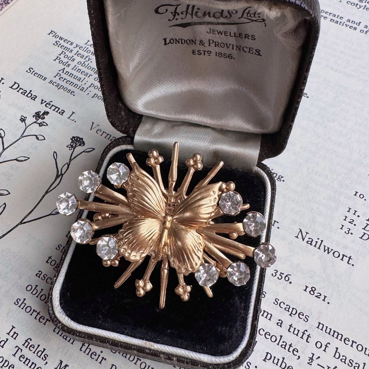 gruidae💐 tweet media