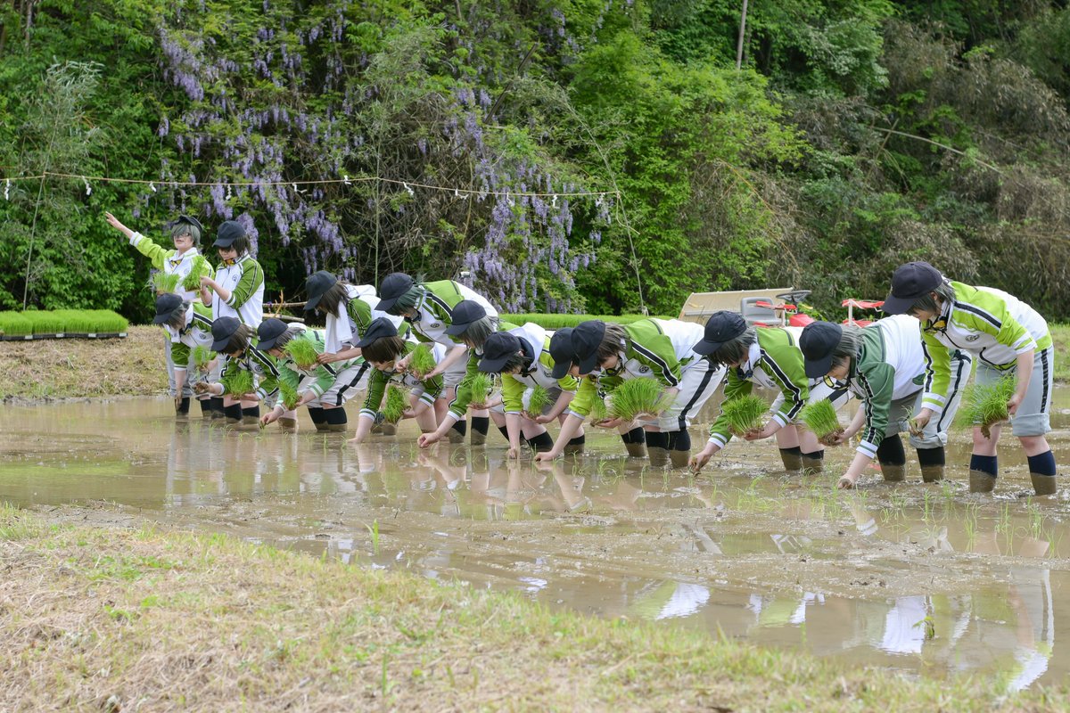 かっか🟢🟢BOOTH頒布中 tweet media