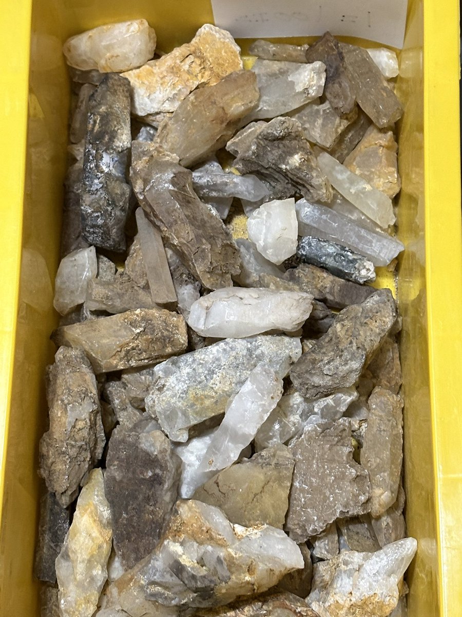 ルビー tweet media