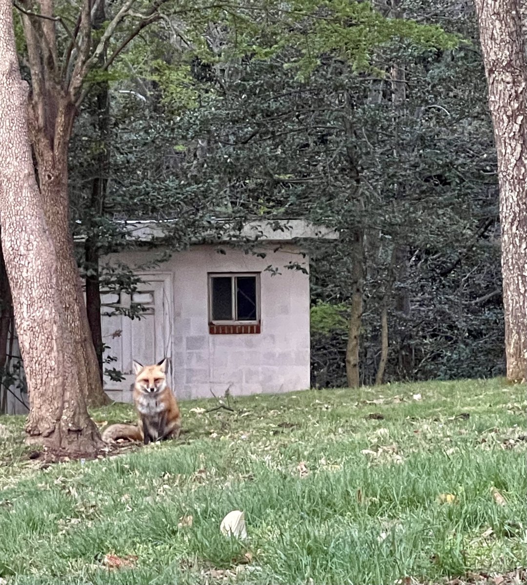 Eileen aka Alien 👽 McLaughlin 🇺🇸🇺🇦 🟦 tweet media