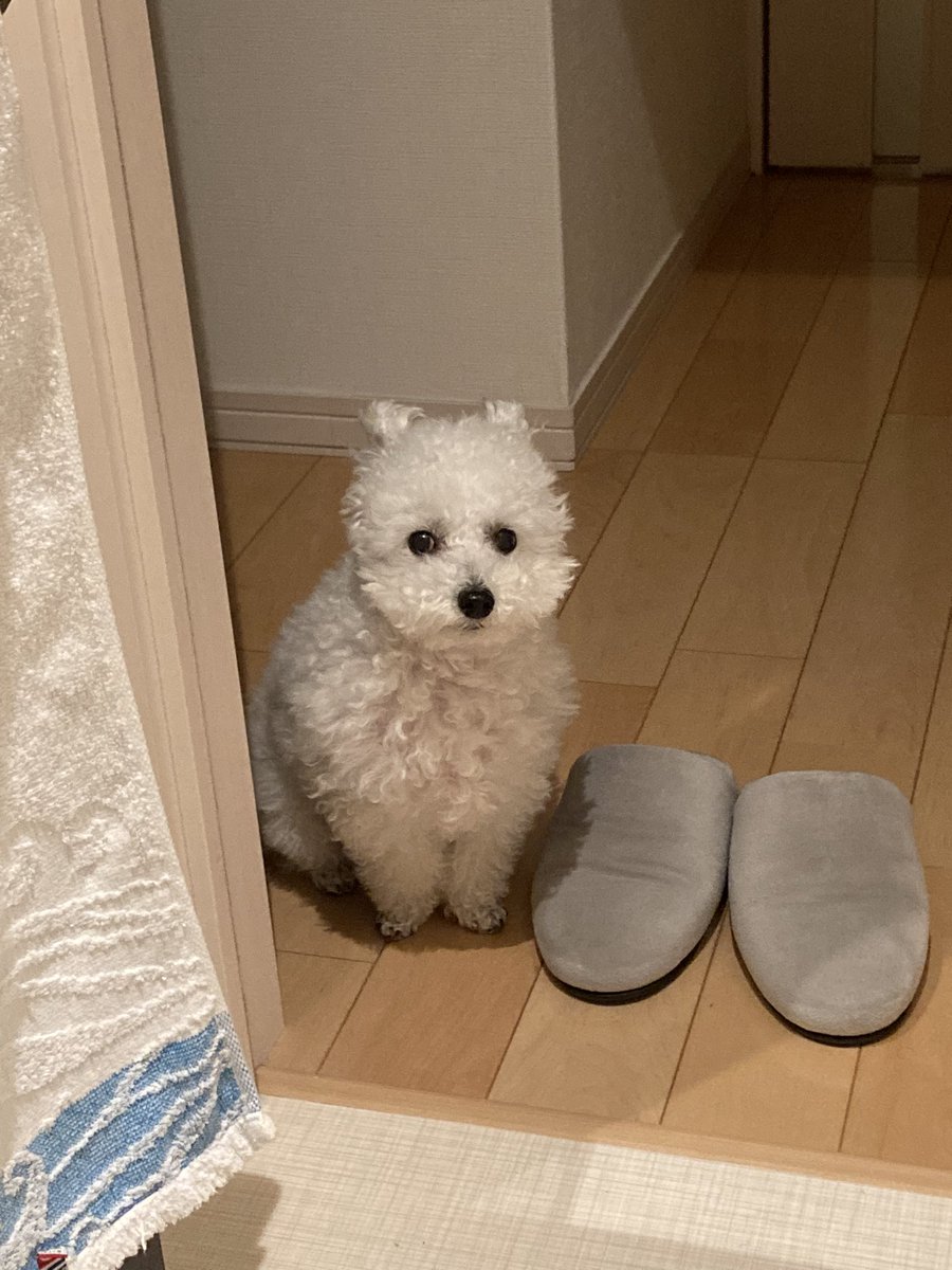 くるるのママ tweet media