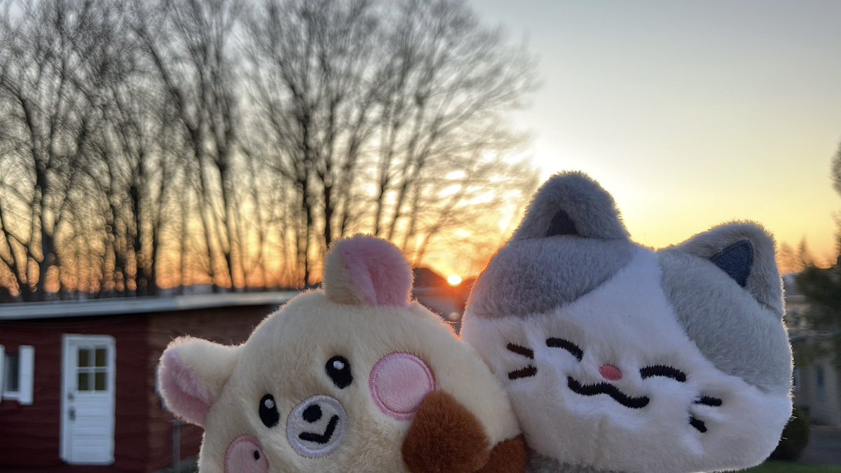 fran 🌪️ tweet media