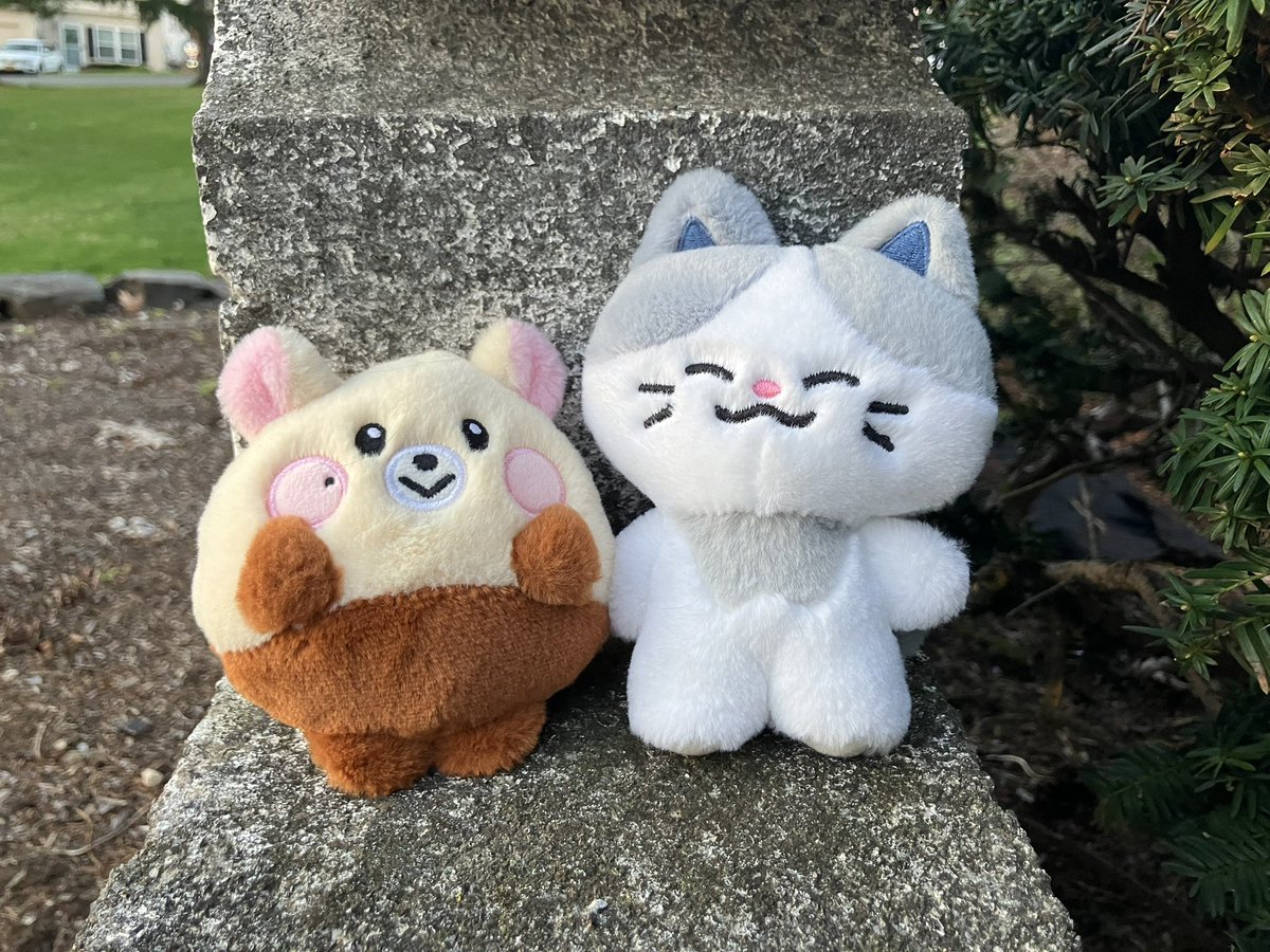 fran 🌪️ tweet media