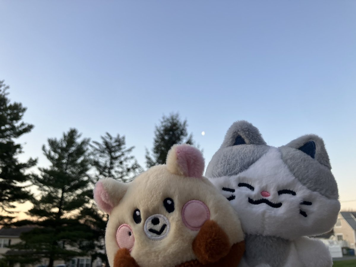 fran 🌪️ tweet media