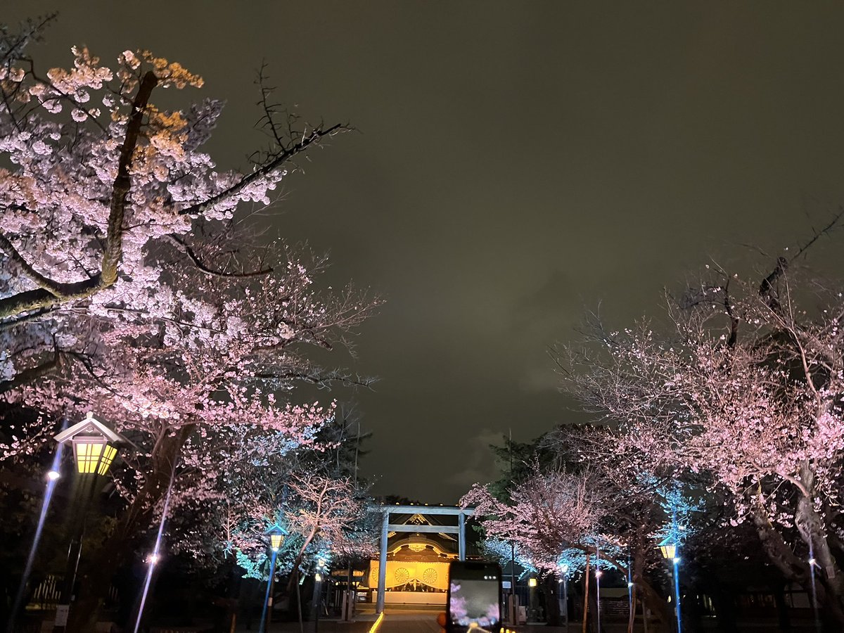 kana_arise's tweet photo. 少し前に夜桜見に行ってきた🌸🌃
ライトアップされてて綺麗だった〜😆

5/17(日)の生誕祭、ご予約開始まで少々お待ちください☺️空けててね！会いに来てね😚🎂

今日も1日お疲れさまでした〜！
21:30頃からTiktokライブ予定です🤲🏻 https://t.co/VdHVSbBnjT