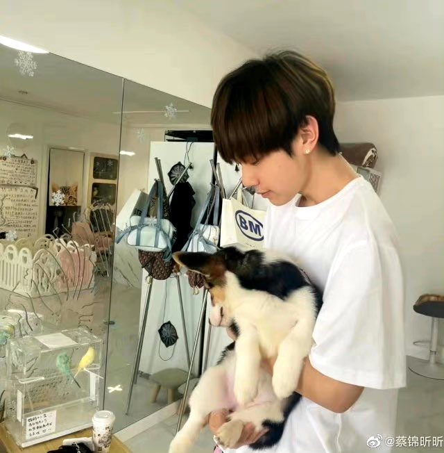 우리 진신이 모하니 ???