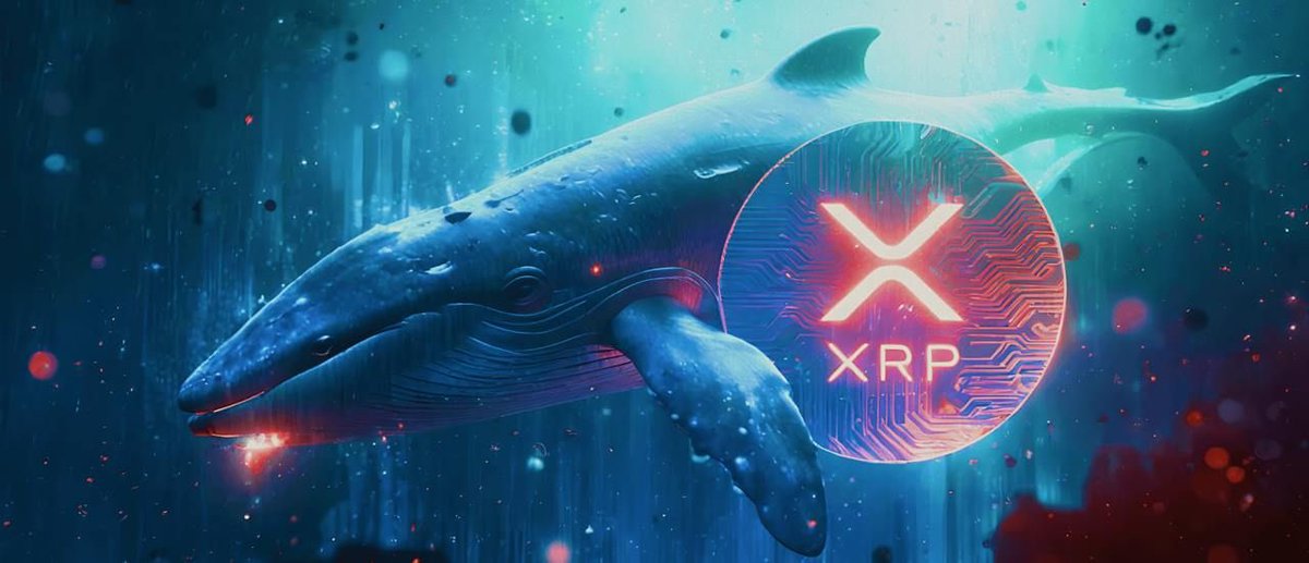 XrpUdate's tweet photo. $XRP whales (10M–100M holdings) have increased their cumulative balance to a record 11.33B XRP (~$15B). 💥📈

Accumulation during the recent downturn suggests strategic positioning by large holders, even as broader market sentiment remains cautious. https://t.co/jdHyGqduEB