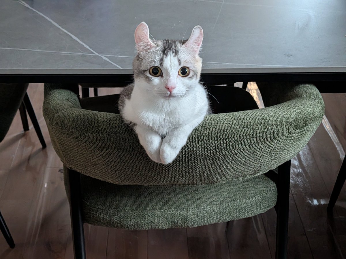 竜さんファミキャン tweet media