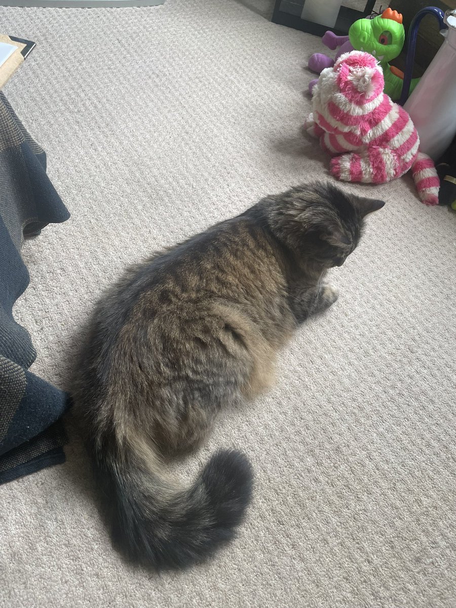 Guy Andrews-Scott tweet media