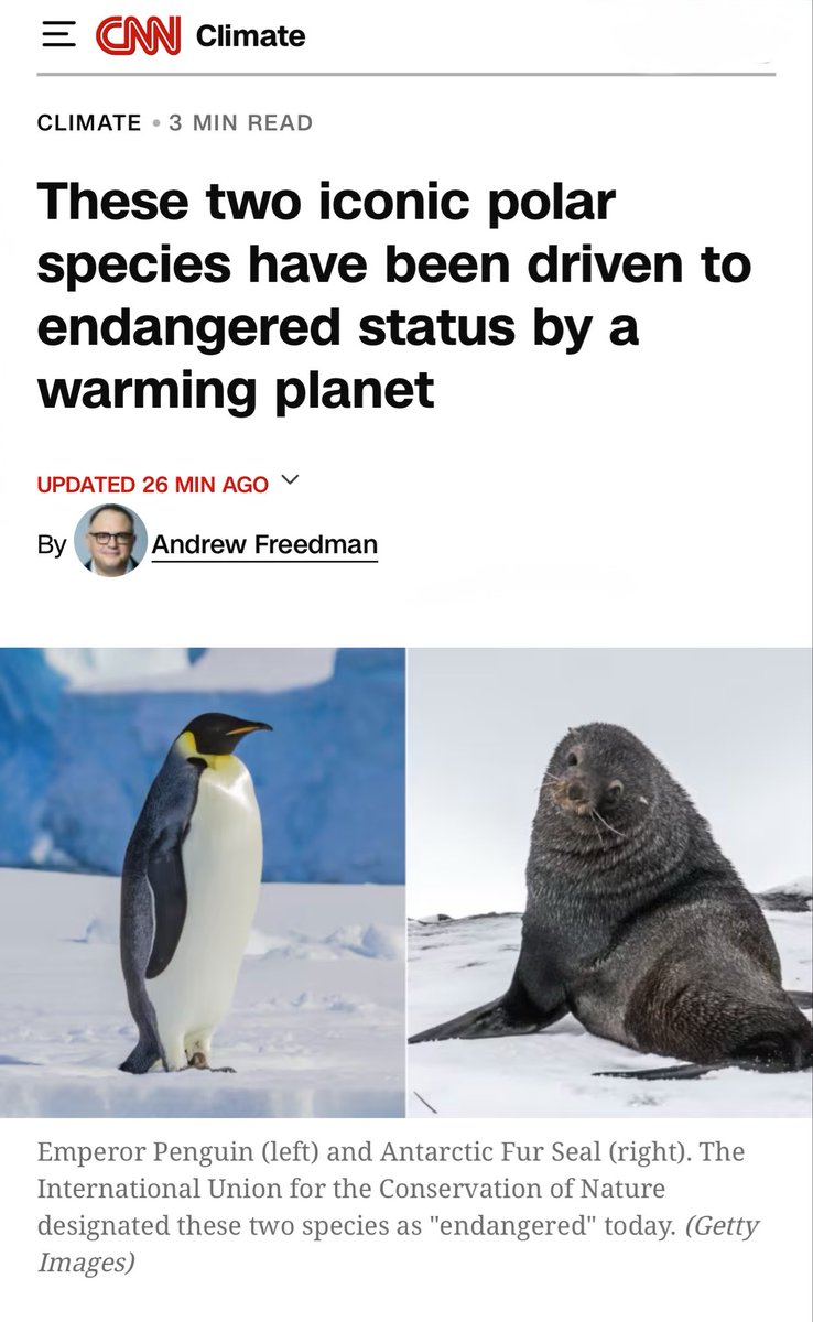 DrTOMontgomery's tweet photo. #penguins 

Emperor penguins and Antarctic fur seals moved to Endangered status on IUCN Red List after new expert assessment.

Higher ocean temperatures, melting sea ice and krill moving away to colder waters are cited as reasons for plummeting populations.

“These important findings should spur us into action across all sectors and levels of society to decisively address climate change.” said Dr Aguilar, IUCN Director General.

Two reports in 🧵