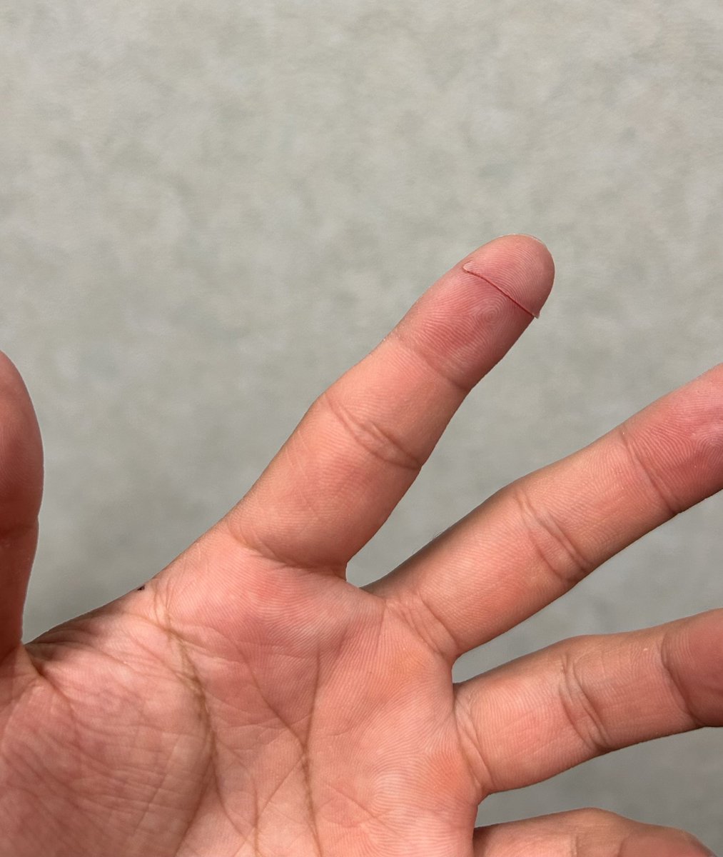 キョロへい tweet media