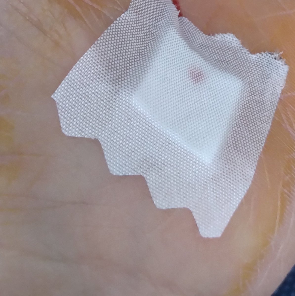 舜(しゅん) tweet media