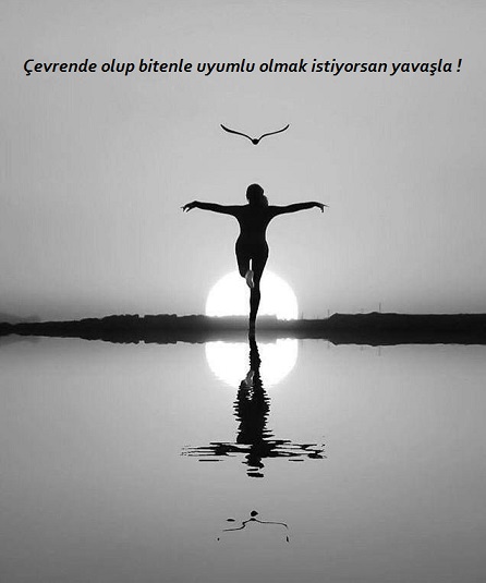 astroset's tweet photo. #Oğlakburcu #sondördün sorumluluğunu aldığımız işlerde hedefimize ulaşmamıza yardım edebilecek insanları ve fikirleri kendimize çekeceğiz. 
Hedefimize erişince yeni hedeflerin peşine düşmekte özgür kalacağız.

Önemli olan esnek olmamız ve kendimize baskı yapmamamızdır. https://t.co/PoaWZejfGh