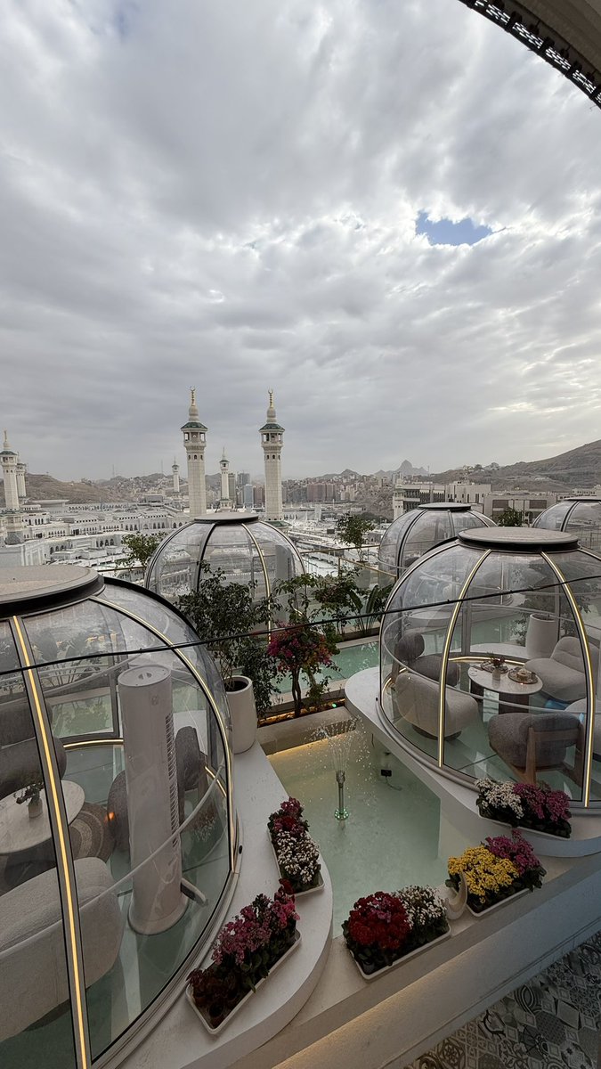 صَفاء . tweet media