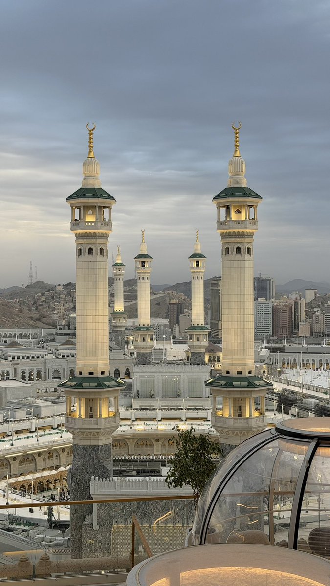 صَفاء . tweet media