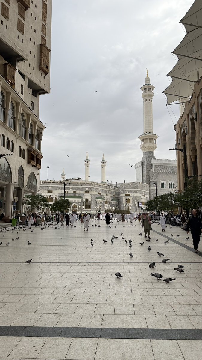 صَفاء . tweet media