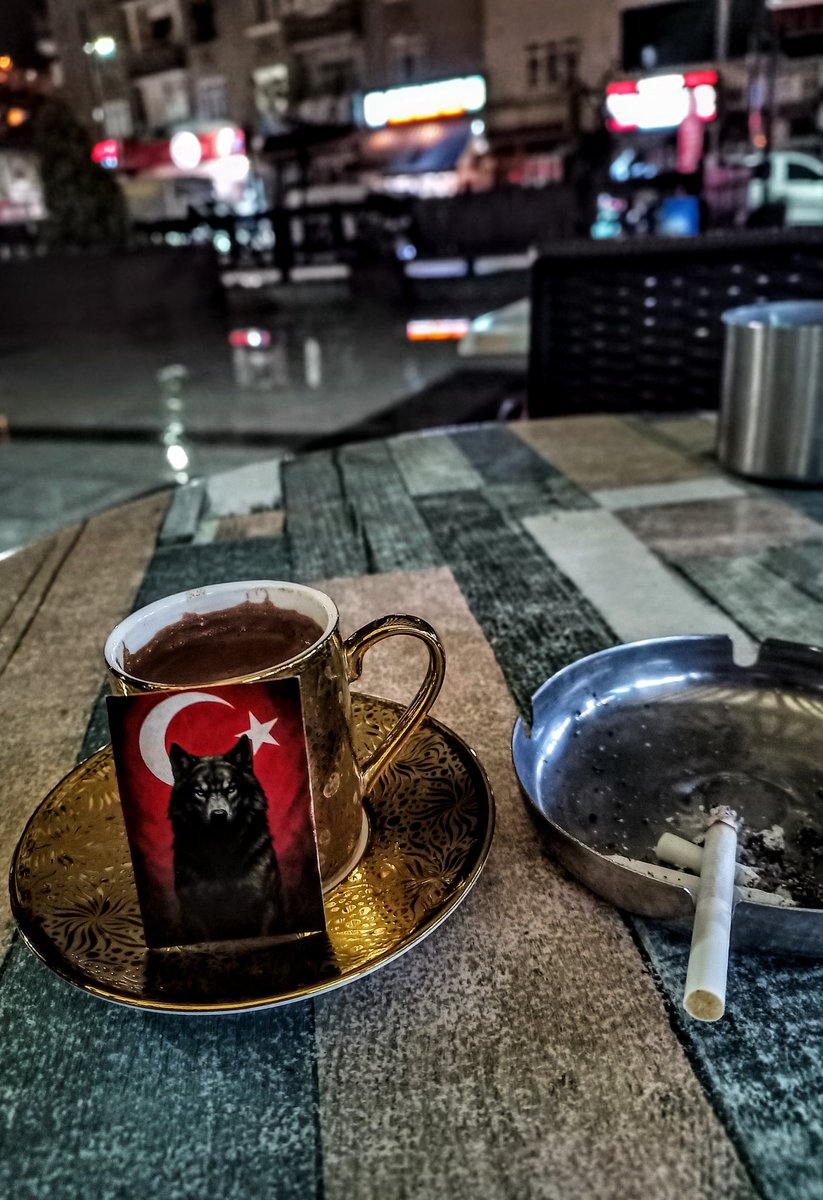 bnb_bozkurt's tweet photo. Nefesin daralırken,  
gözlerin kapanırken,  
kalbinin son atışı bile  
başkalarının huzuruna adandı.  

Kendi varlığını değil,  
çocukların gülüşünü,  
toprağın sessizliğini,  
bayrağın dalgalanışını düşündün. 

Ve işte o an,  
ölüm bile seni yenemedi; https://t.co/zcxtqzYwC7