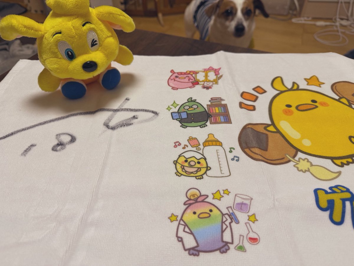 kiki🐕 🐕 tweet media