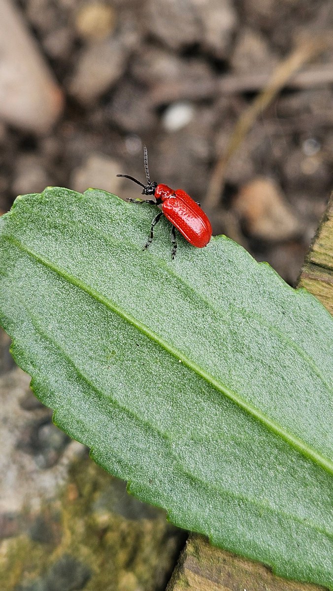 Anita💚✨️ tweet media