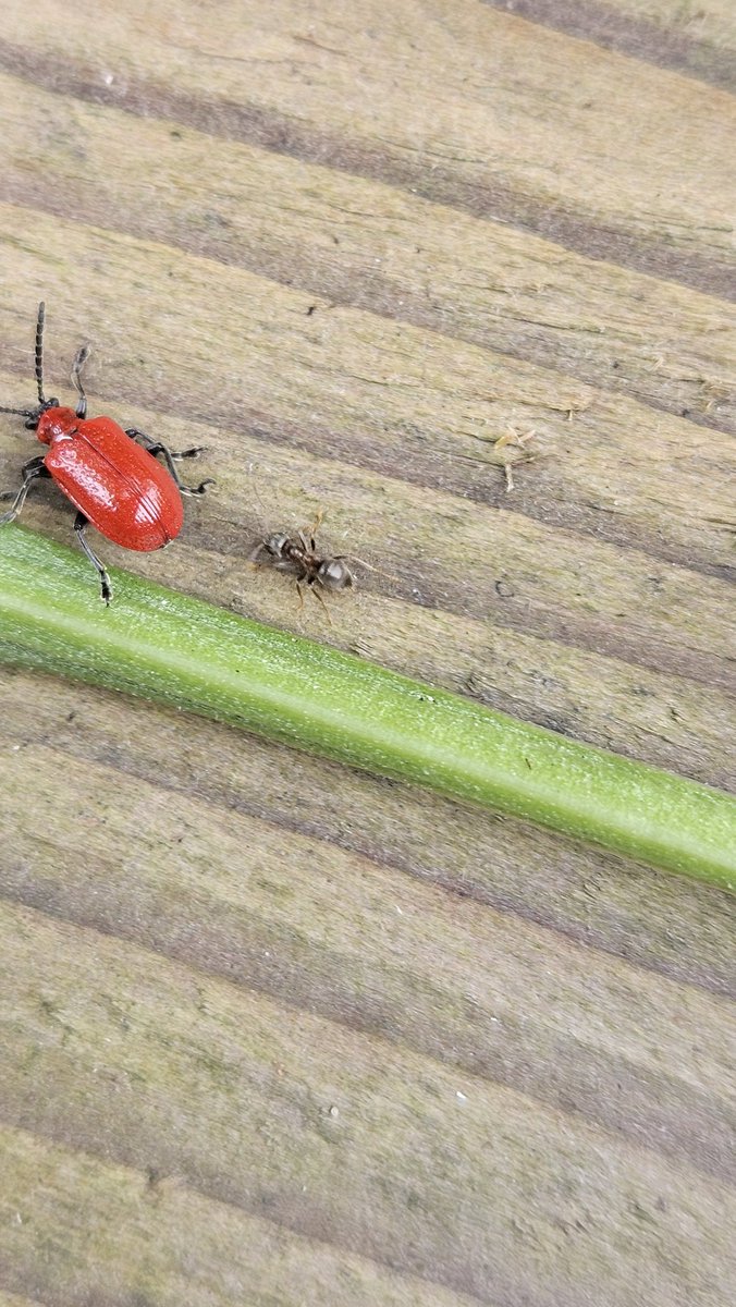 Anita💚✨️ tweet media