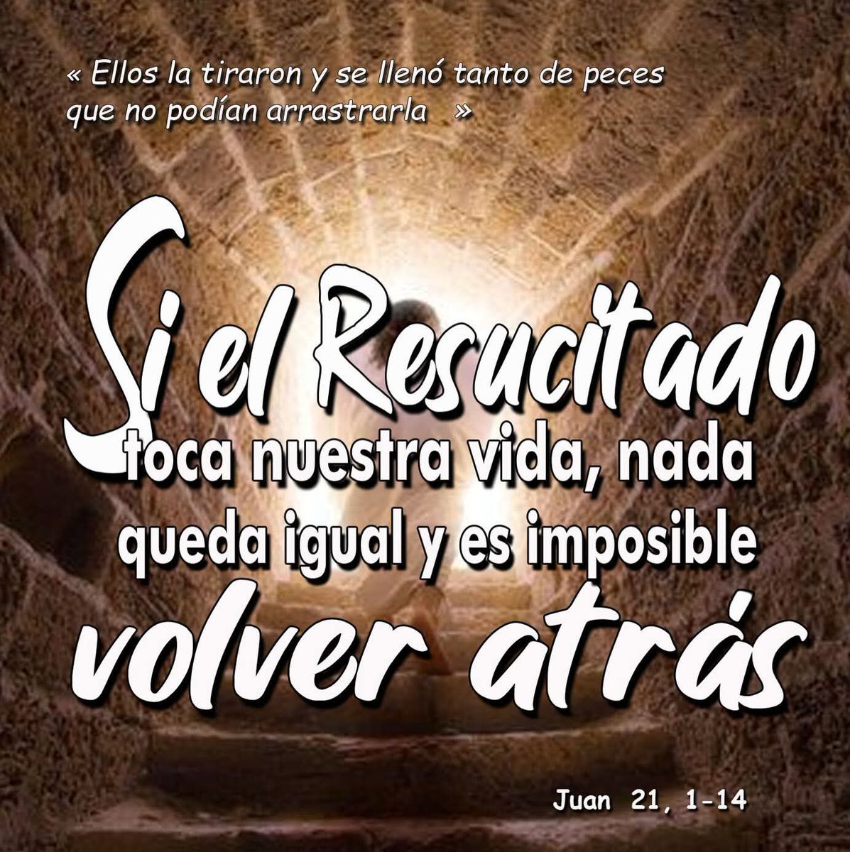 Corazón de Maria tweet media