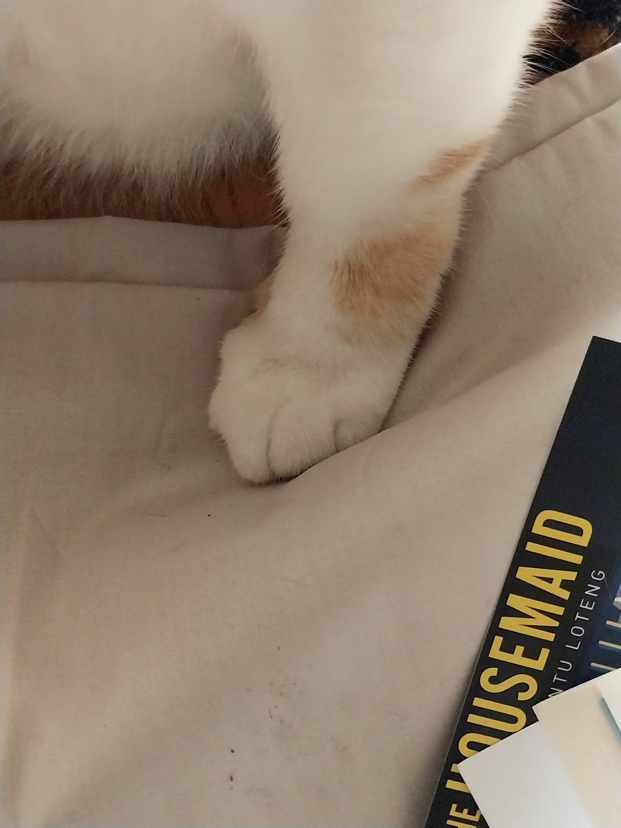 𝓼𝓪𝓷~ ִֶָ𖥔 ݁ ˖🪐.𖥔 ݁ ˖ tweet media