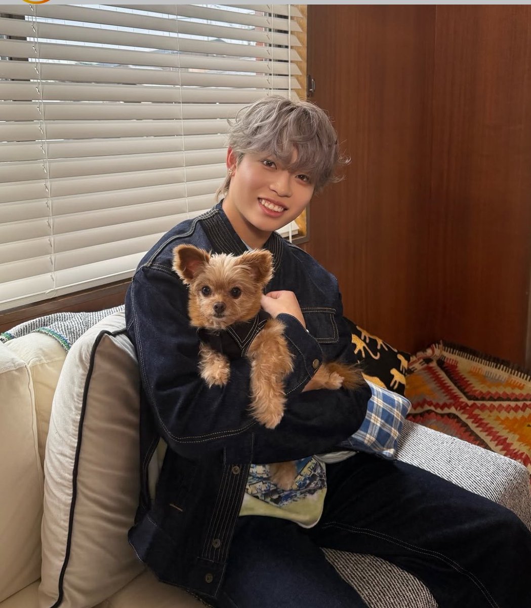 ひなﾃﾞｭｸｼ👊🏻 tweet media