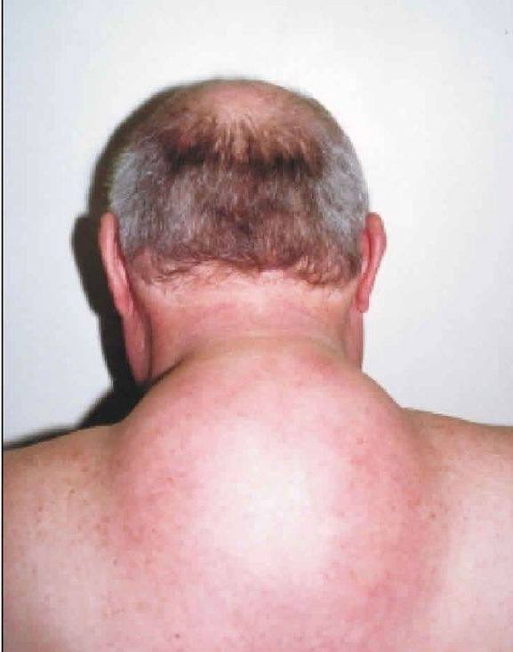 Ninja Wisdom | Self Improvement tweet media