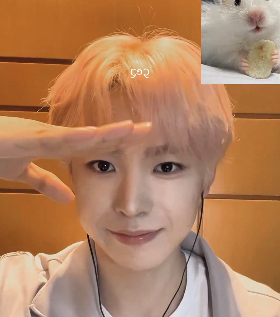 티라미스 tweet media