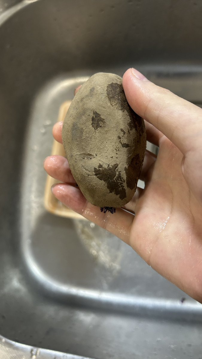 シャル tweet media