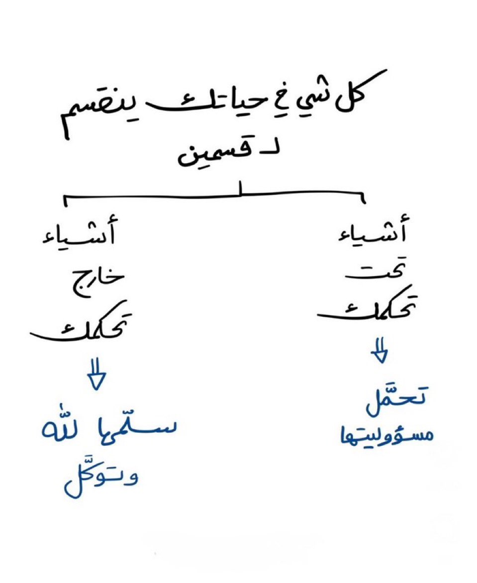 أميـــرا 🪞. tweet media