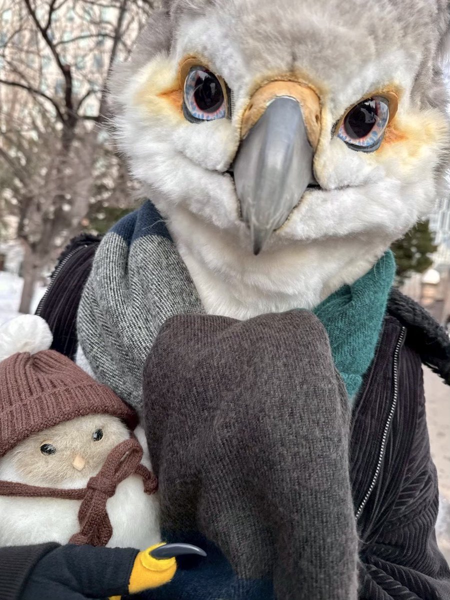 ふな/Funa➰🦉ケモエレ tweet media