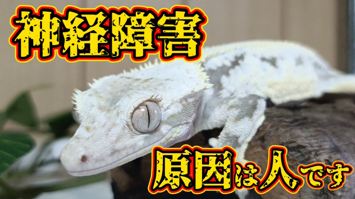 JOE@個人垢 tweet media