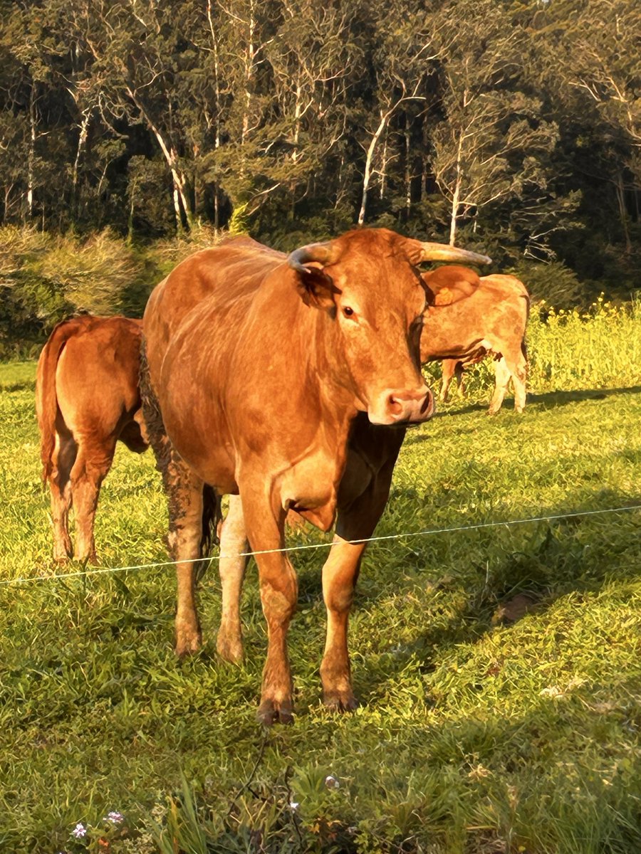 UK€ MARTIN tweet media