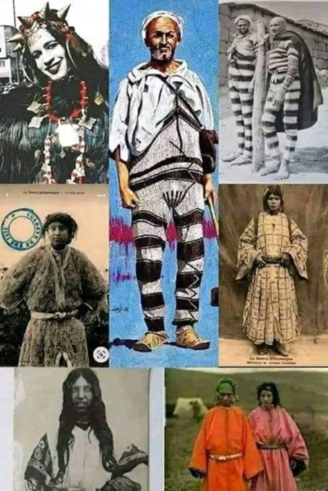 Afifa Haddad🇩🇿 tweet media