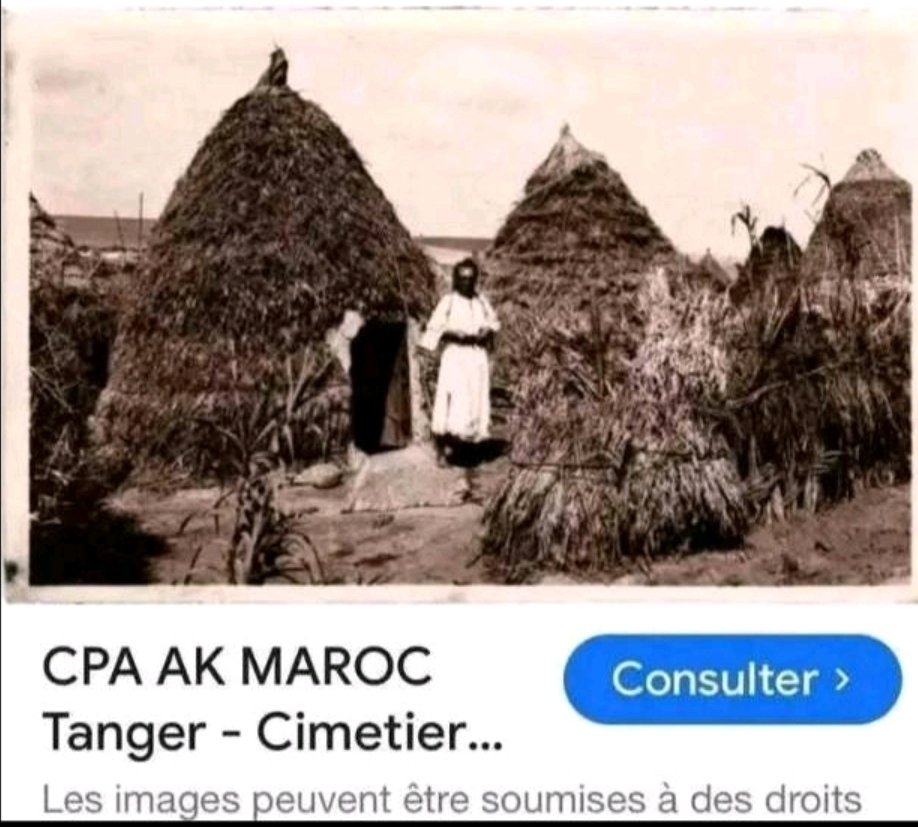 Afifa Haddad🇩🇿 tweet media